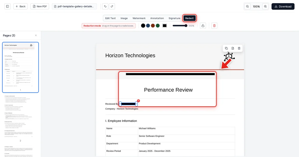 A company email and reviewer name redacted with black bars in a performance review PDF, shown in Redaction mode
